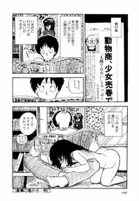 [Moriyama Toh (Yamamoto Naoki)] Toraware Penguin