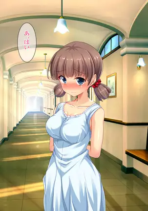 Bou YariCir Kanzen Kanshuu - Shinnyuusei no Pakorikata Manual