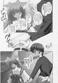 [ShikigamiAzuma]God Chome cat