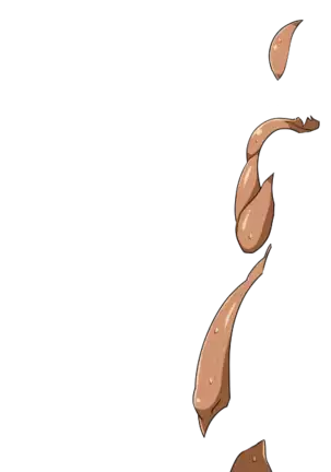 Yuuka-Chirabatta Daiyoukai no Kakera-