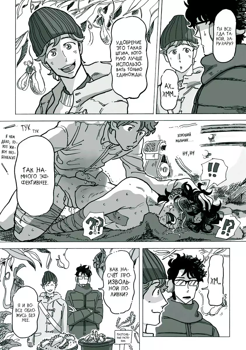 Ringo, Ki kara Ochiru