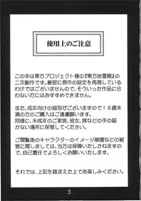 (C78) [Rapid Rabbit (Tomotsuka Haruomi)] Byoujo no Sho (Touhou Project)