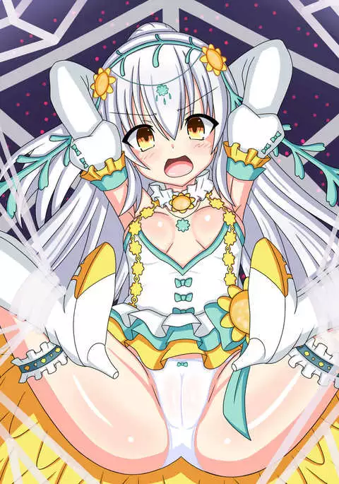 "Hanazono no Seiya" Shirotaegiku