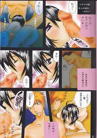 (SUPER14) [PONCHEES (KARI) (Irohane Sui)] STRAWBERRY ON THE SHORTCAKE (BLEACH)