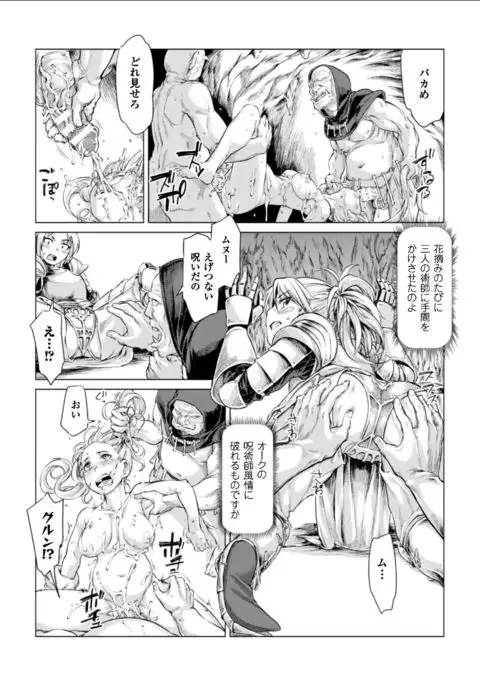 Seigi no Heroine Kangoku File Vol. 11