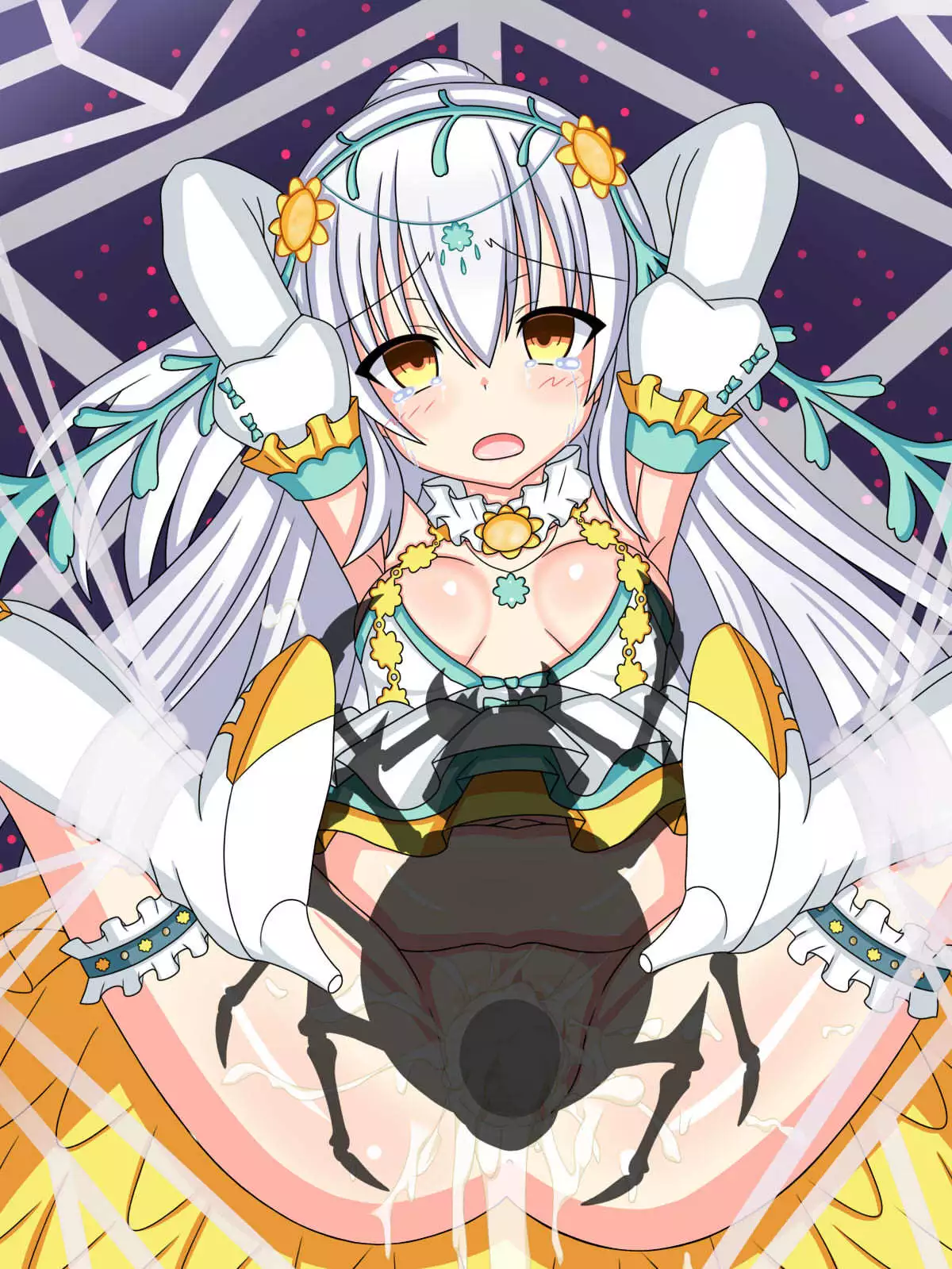 "Hanazono no Seiya" Shirotaegiku