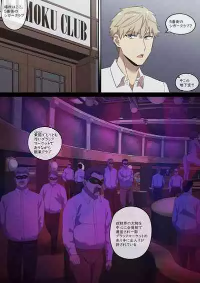 Daraku Mesu-tachi no Shoufu Nisshi