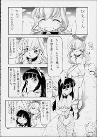 [Toraya (ITOYOKO)] ALICE IN SLAVE LAND