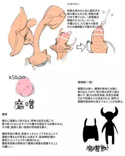 [/￥] 魔術学徒アオバ