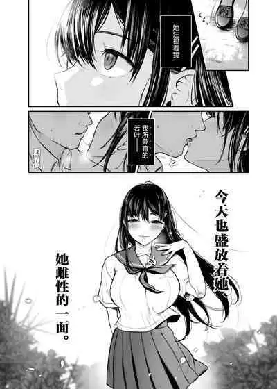 Wakaba Sakimidaruru.