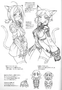 (Merit Point 2!) [NANGCHI-DO (Ebifly, Neriwasabi)] Uso Matsuri (Final Fantasy XI)