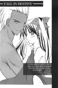 (CR36) [Last Eden (Amane Mari)] Fall in Destiny (Fate/stay night)