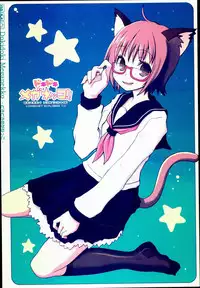 (C72) [Kimarinet (kimarin)] Dokidoki Meganekko!!