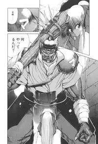 [Makoto Fujisaki] Dark Wirbel Vol 2