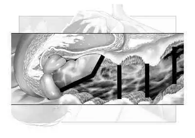 Kousai Bare, Koubu Zaseki de Netorare Choukyou