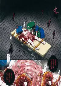 (Reitaisai 12) [02 (Harasaki)] 0210564801 (Touhou Project)