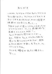 [Crimson Comics (Carmine)] Nel Hard (Star Ocean 3)