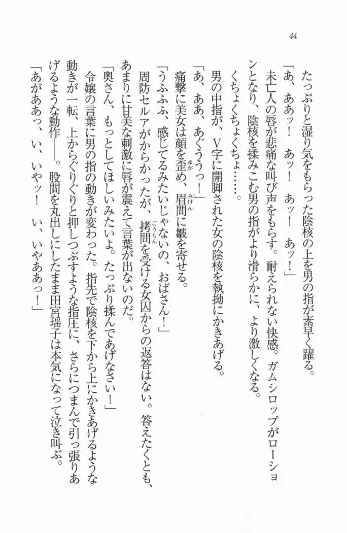 メイド喫茶 猫の隠れ家