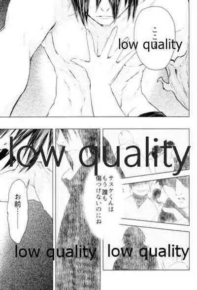 (お忍びデート) [藤井屋の鮭弁 (白椿)] しをんうだく (NARUTO-ナルト-)