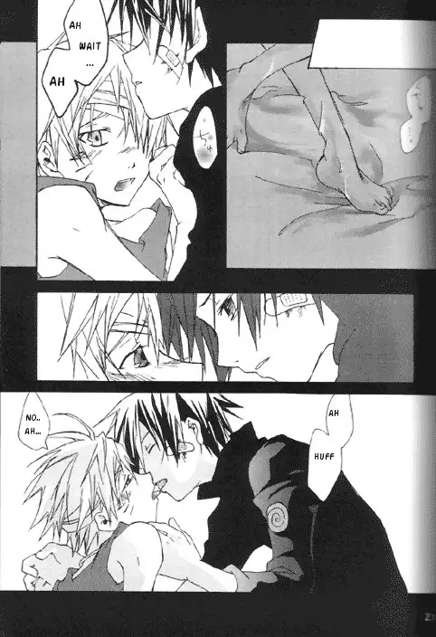 Gold Feather Silver Body