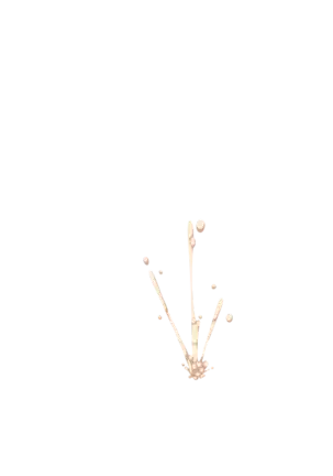 Yuuka-Chirabatta Daiyoukai no Kakera-