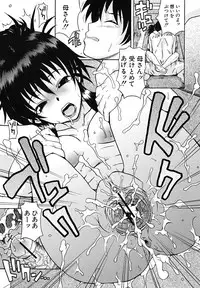 [Shiran Takashi] Koinori