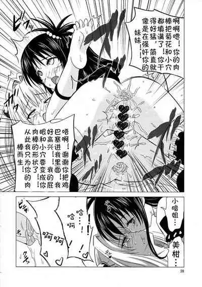 Kanryou Harem Keikaku Imouto Tengoku ｜ Harem Plan Complete - Little Sister Heaven