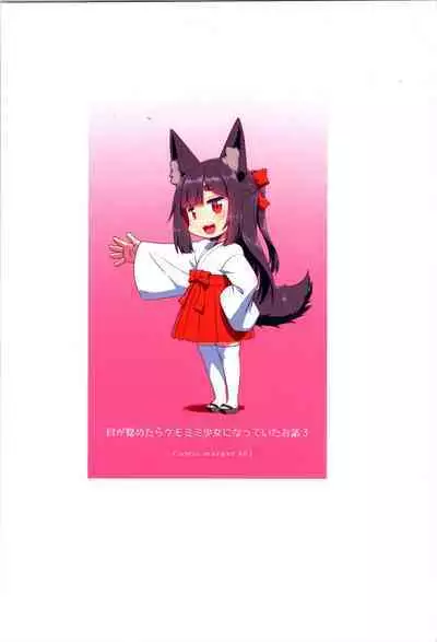 Me ga Sametara Kemomimi Shoujo ni Natteita Ohanashi 3