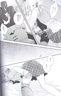 [Hakai Ryouiki (Yasuhara Yuki)] SUPER ordinary SEX (Fullmetal Alchemist)