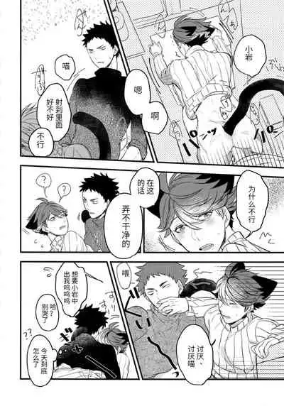 我想成为小岩的猫2 I want to become Iwa-chan's Cat! 2