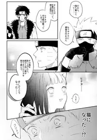 My Sweet Little Kitty