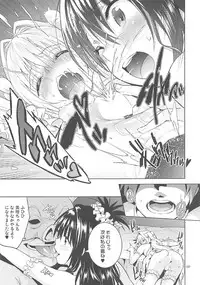 (COMIC1☆11) [sin-maniax (Todoroki Shin)] ToLOVEleS (To LOVE-Ru Darkness)