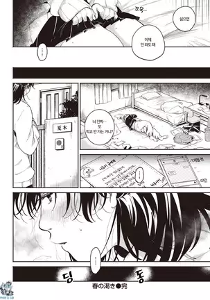 Haru no Kawaki | 봄의 갈증