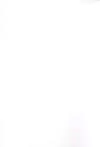 (COMIC1☆9) [Sekai Kakumei Club (Ozawa Reido)] Kira Mina Escalation (Go! Princess PreCure)