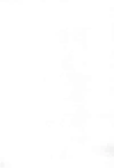 Shinsekai Chitsujo new world order