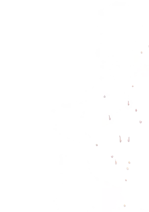 Yuuka-Chirabatta Daiyoukai no Kakera-