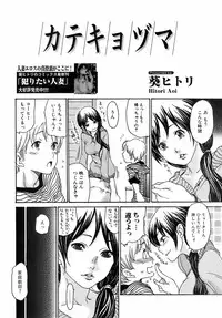 Jun-ai Kajitsu 2008-11