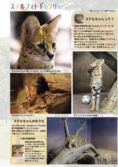 may Kemono Friends Thre Goudoushi