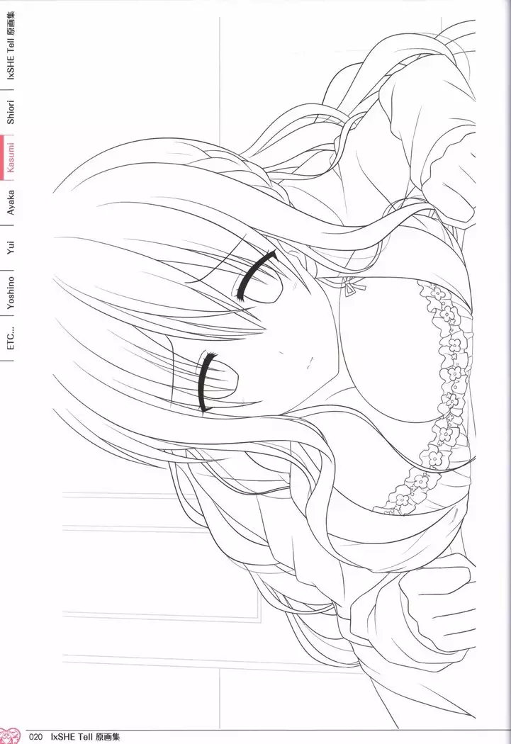 IxSHE Tell illustration art book