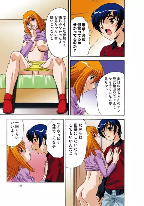 Itsuka Imouto o Okashisou na Ore no Nikuyoku