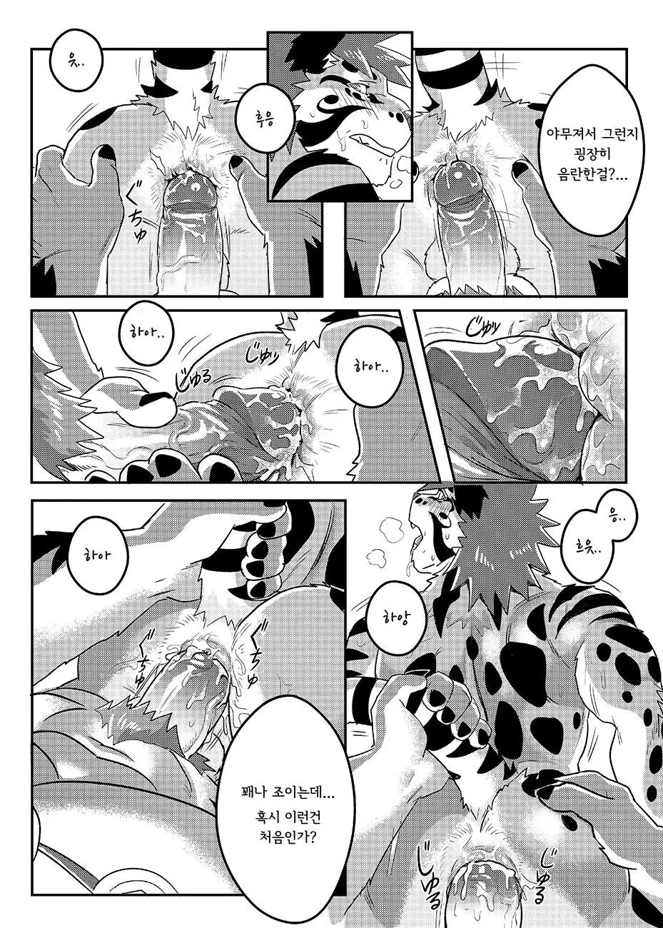 Nekojishi EXTRA | 네코지시 EXTRA