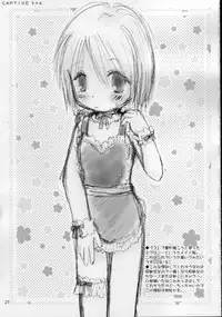 (C68) [Penguin San (Shinosaki Ariko)] CAPTIVE 3+4