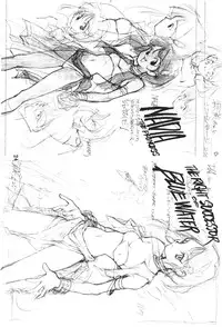 (C50) [PEACE MAKER (E=MC2)] JUNKY'S JUNKS (Various)