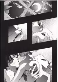 [Henrei-kai (Kawarajima Kou)] AYANAMI SUMMIT (Neon Genesis Evangelion)