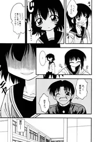 [yeahhhy tomii] Meconopsis