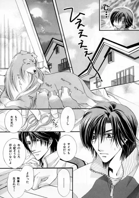 b-BOY Phoenix Vol.3 Tsundere Tokushuu