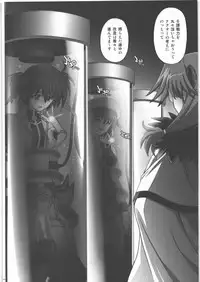 [Cyclone (Izumi)] 667 Kai (Mahou Shoujo Lyrical Nanoha)