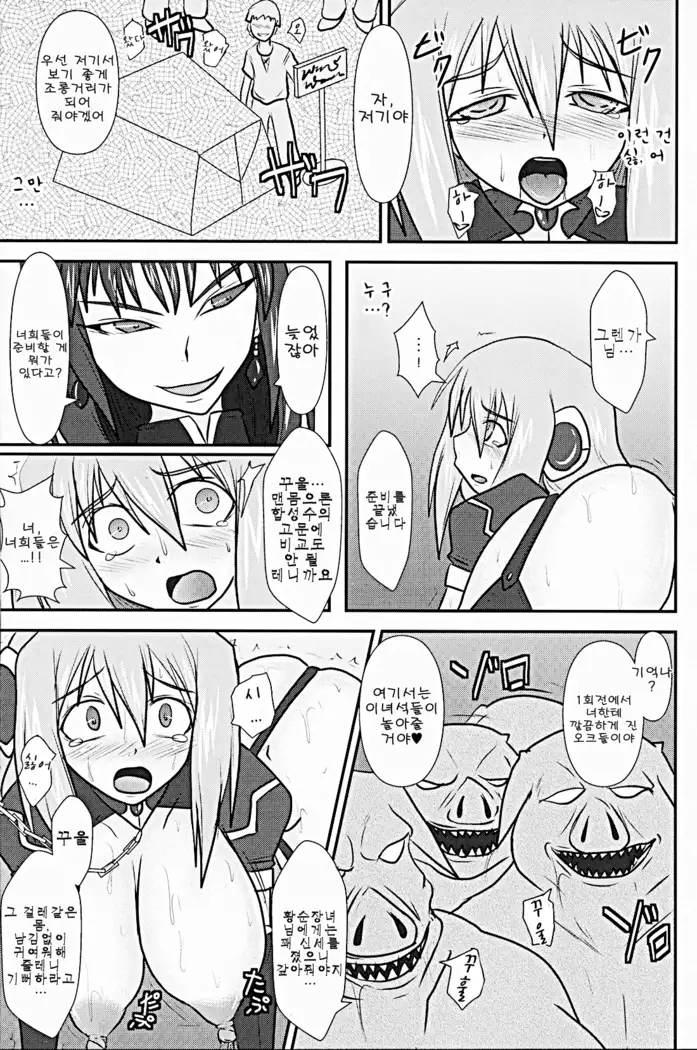 Shield Knight Elsain Vol. 9 SLAVE COLOSSEUM