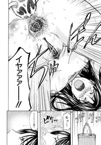 [Kikuichi Monji] Analist