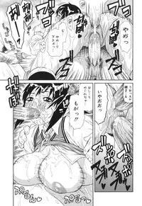 [Sasamine Hidetoshi] Inwai